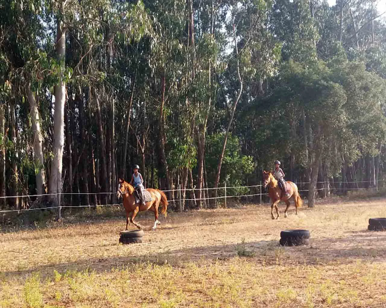Beginner lesson in the arena — Photo 1 of 2