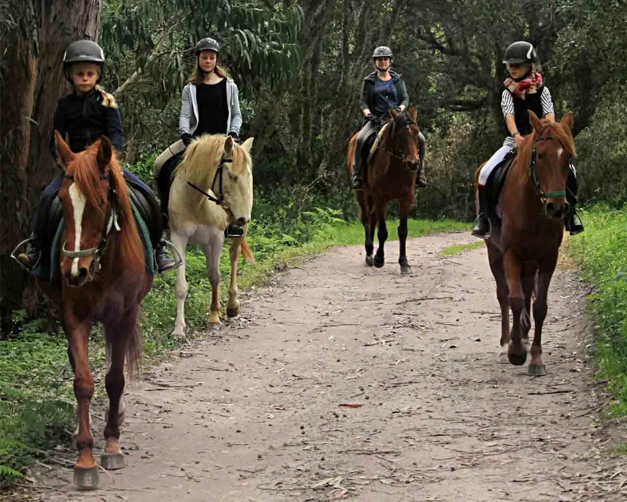 Horseback ride — Photo 1 of 2